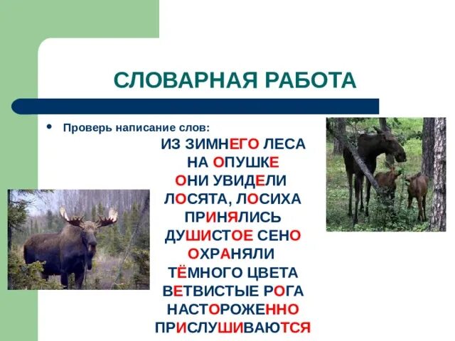 Произведение лоси. Урок сочинение 2 кл лоси. Степанов Лосиное письмо. Составление рассказа по картине лоси Степанов 2 класс. Степанов лоси картина.