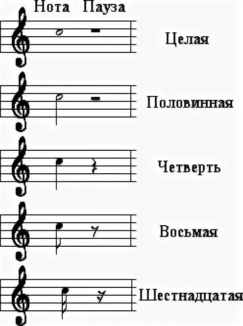 Перерыв в звучании. Паузы в нотах. Длительности нот. Длительности нот в Музыке. Длительности нот и пауз.