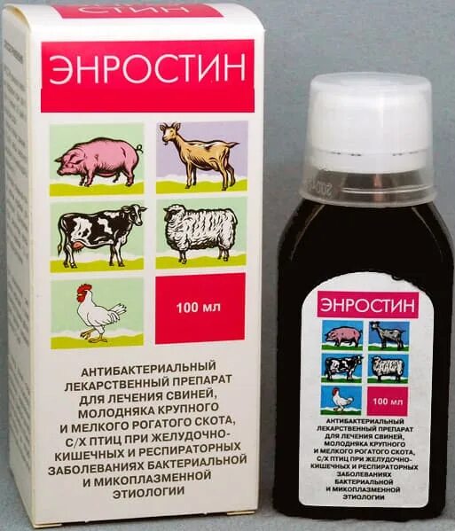 Энростин 10 мл. Энростин 100мл. Лекарство для животных энростин. Энростин для цыплят.