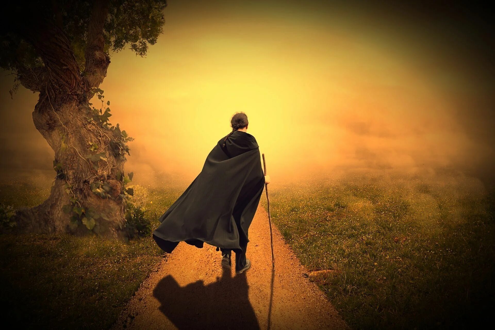 Скайрим плащи. Тёмный странник мультфильм 2015. Странник в плаще. Накидка средневековая мужская. Cloaks of skyrim.