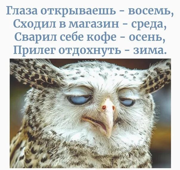 Глаза открываешь восемь. Глаза открываешь восемь сходил в магазин. Глаза открываешь осень. Я открываю глаза а они закрываются. Открывая утром глазки