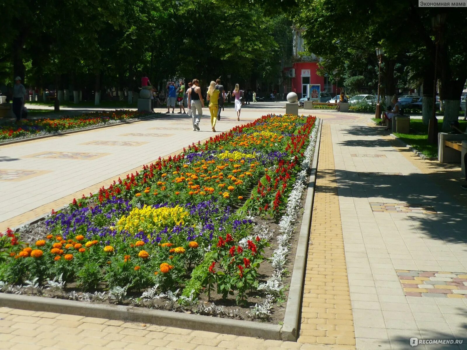 Город Армавир цветы. Выдающиеся люди города Армавир Краснодарский край. Зимний Армавир Кубань.