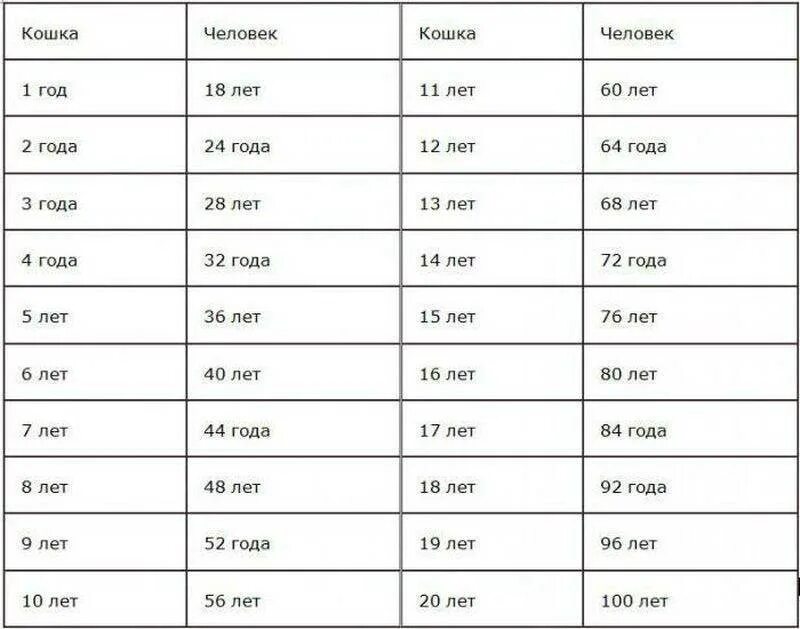 Таблица определения возраста кошек. Кошке 6 лет сколько по человеческим меркам таблица. Как понять сколько коту лет по человеческим меркам таблица. Кошке 12 лет сколько по человеческим меркам таблица. Сколько месяцев в 2000