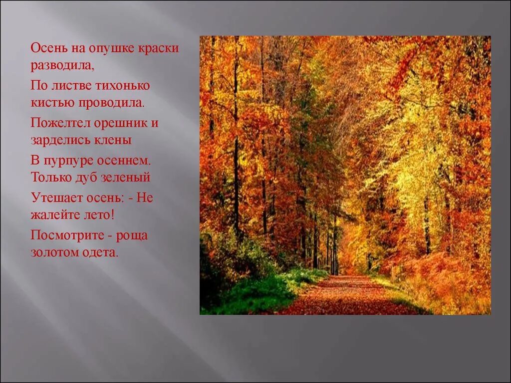 Природа осенью текст. Описание осени. Красивое описание осени. Описание осенней природы. Осень описание природы.