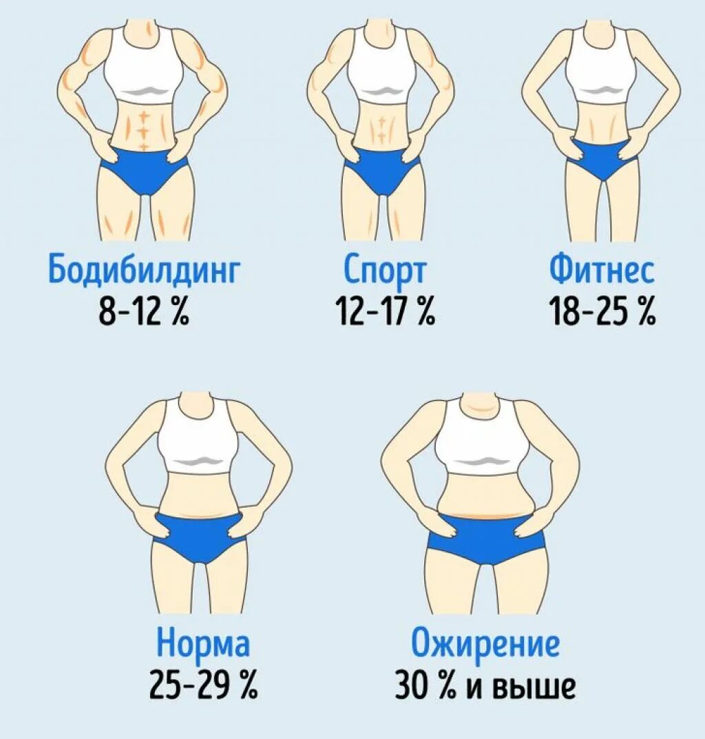 22 Процента жира в организме. Процент жира у женщин. Процент жира воргнаизме. Жир на теле женщины.