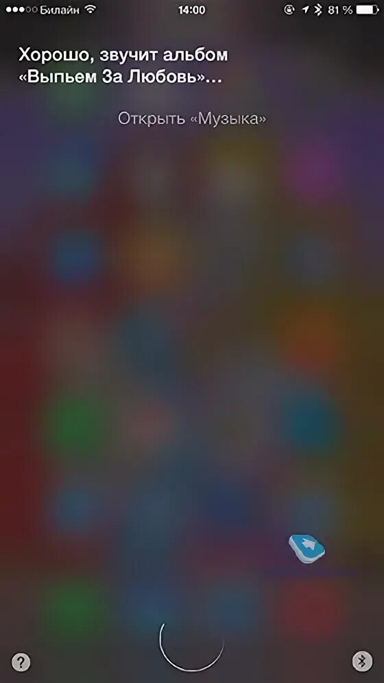 Сири помощник. Сири голосовой помощник. Siri iphone. Сколько лет сири. Siri про.