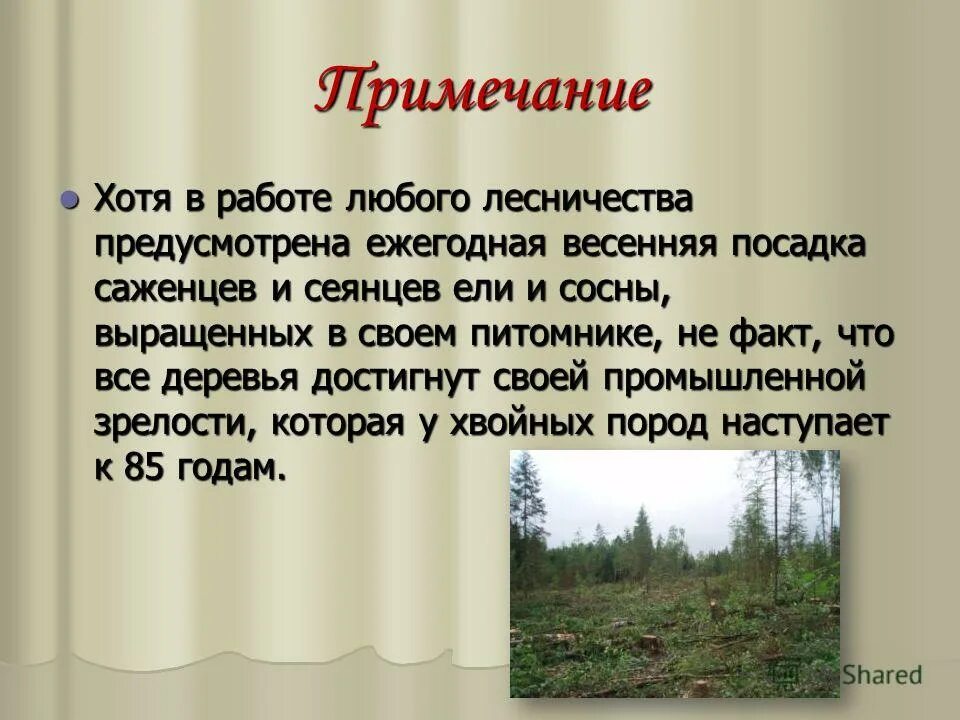Помимо лесных богатств предложение. Помимо лесных богатств предложение