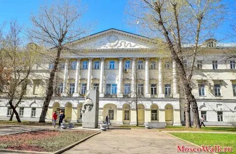 Остоженка университет