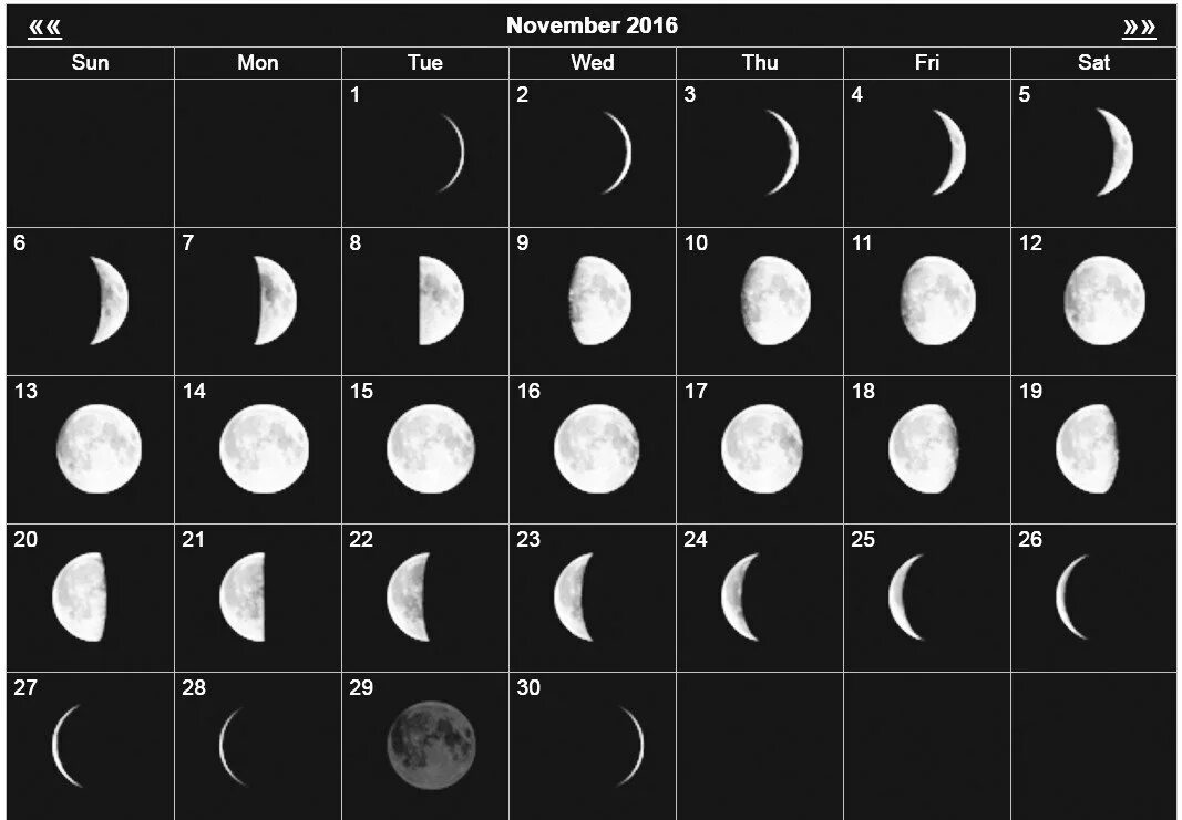 Январь луна убывает. Фазы Луны. Фазы Луны по неделям. Синодический лунный месяц.