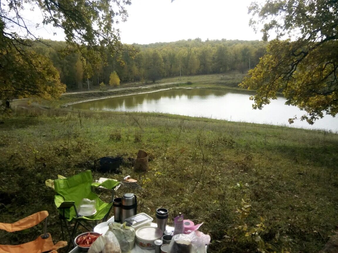 Село Ягодная Поляна Татищевского района Саратовской области. Ягодная Поляна Саратовская область Татищевский район. Село Ягодная Поляна Саратовская область. Пруды в ягодной Поляне Саратовская.