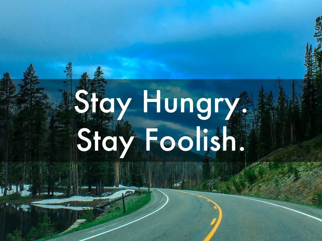 Переведи hungry. Stay. Stay Foolish. Stay hungry stay Foolish stay. Stay hungry stay Foolish обои.