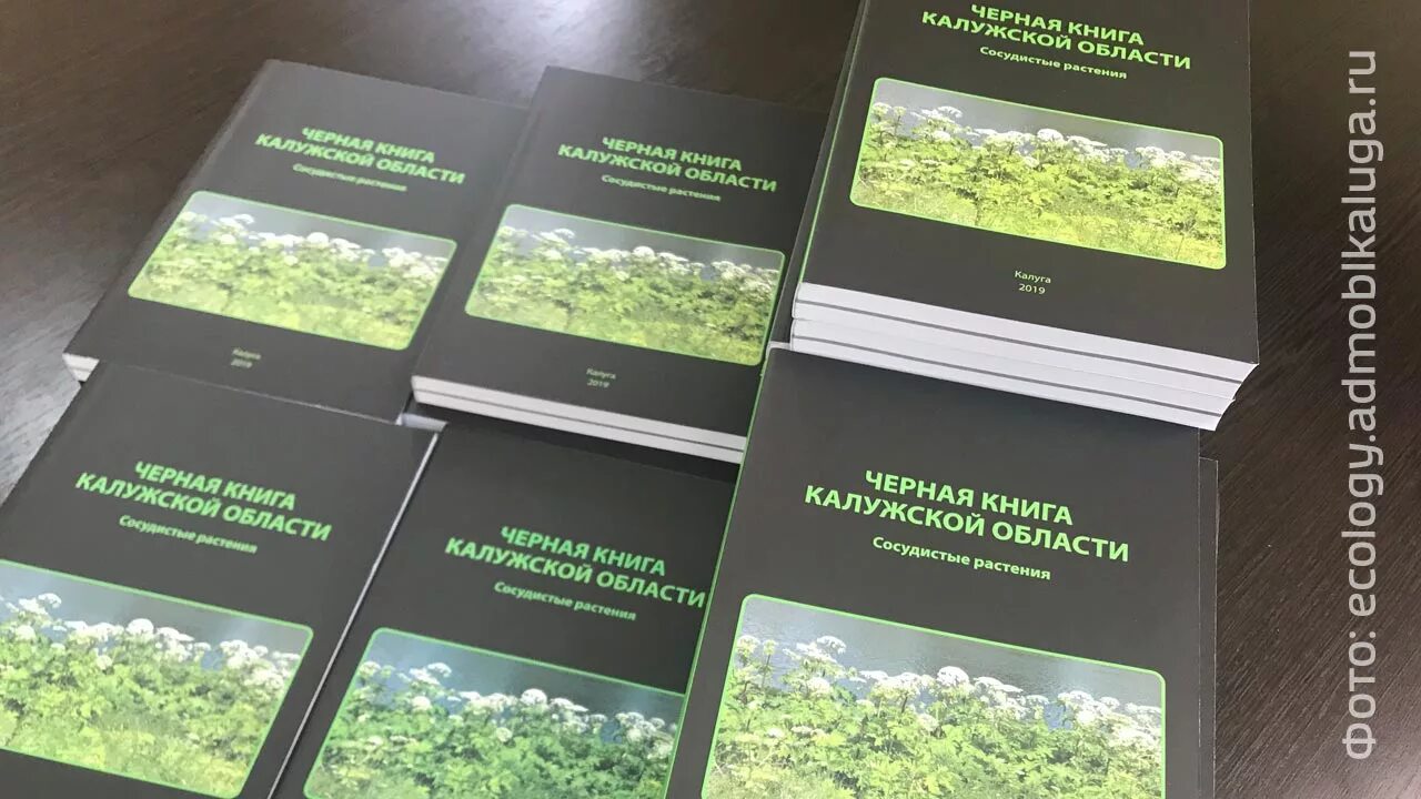 Животные калужской области занесенные в красную. Красная книга калужской области коллектив авторов книга. Красная книга калужской области книга. Калуга красная книга. Красная книга калужской области обложка.
