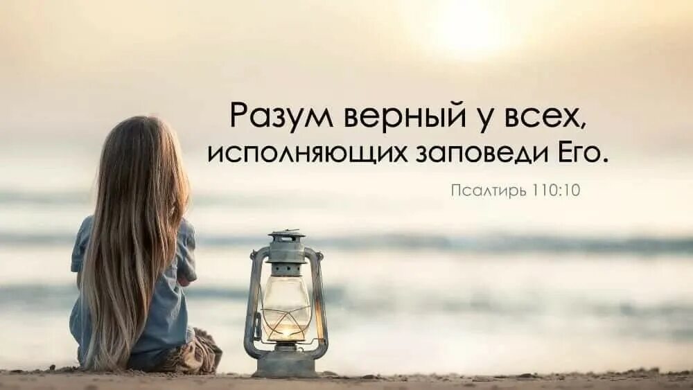 Исполненную это то что мы