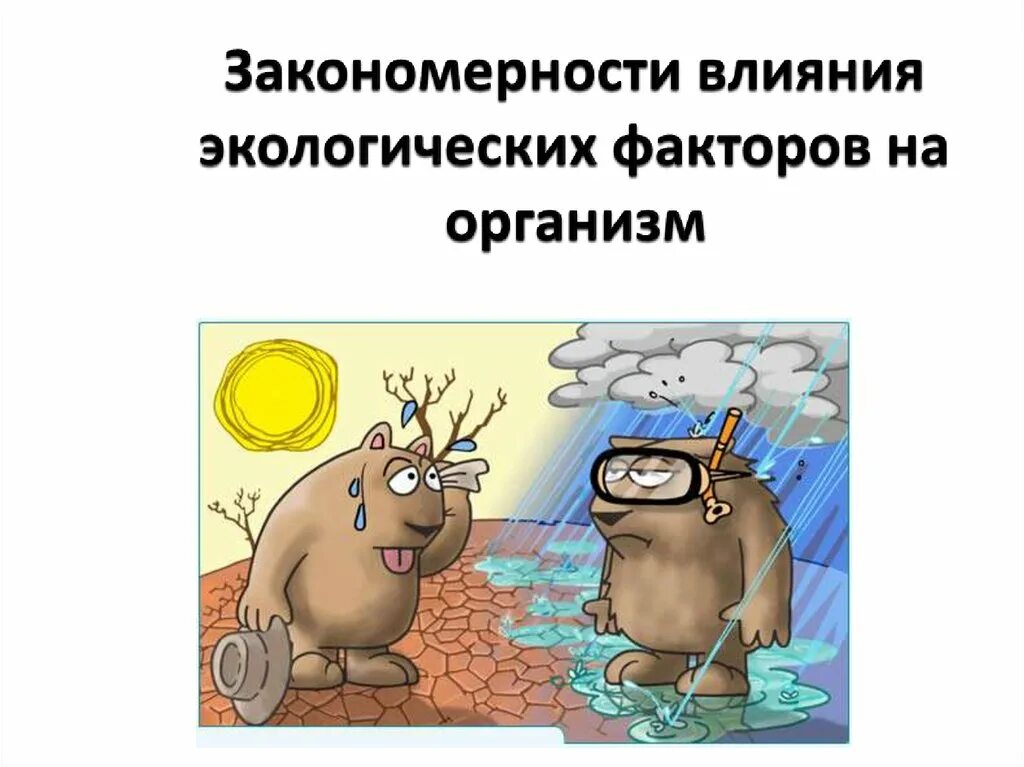 Закон экологического воздействия. Влияние экологических факторов на организмы. Экологические факторы воздействующие на организм. Экологические факторы и их воздействие на человека. Закономерности влияния экологических факторов.