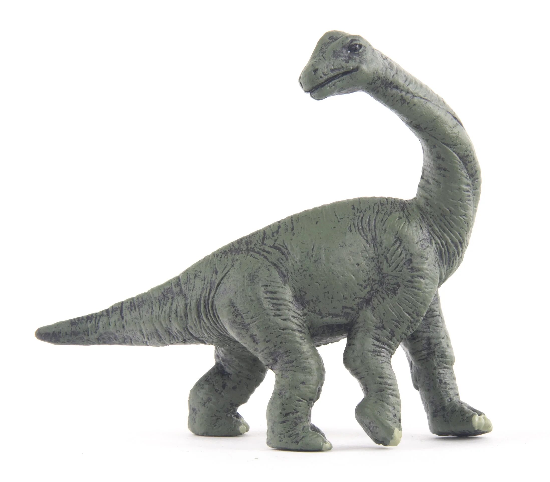 Динозавры 8 лет. Collecta набор динозавров. Collecta Gulliver набор. Фигурки Collecta динозавры №1 89877. Стегозавр игрушка Collecta.