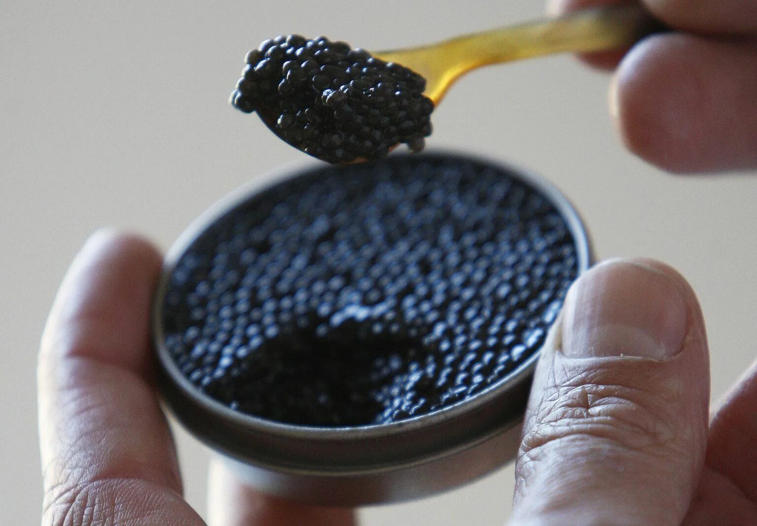 Как отличить черную. Черная икра Кавиар. Черная икра Caviar. Икра черная осетровая. Настоящая черная икра.