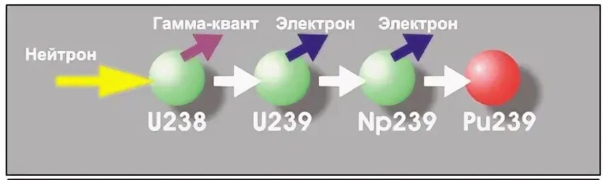 При попадании нейтрона в ядро урана. Уран 239. Попадание нейтрона в ядро. Реакция нейтроны и гамма кванты. Превращение u238 в pu239 с захватом Протона.