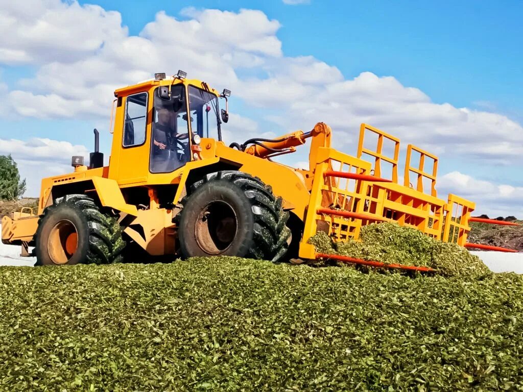 Амкодор 332с4. Фронтальный погрузчик амкодор 352с. Амкодор w500c. Погрузчик амкодор 352. Амкодор можа.
