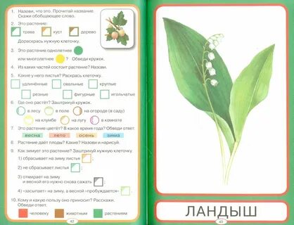 Задачи растения