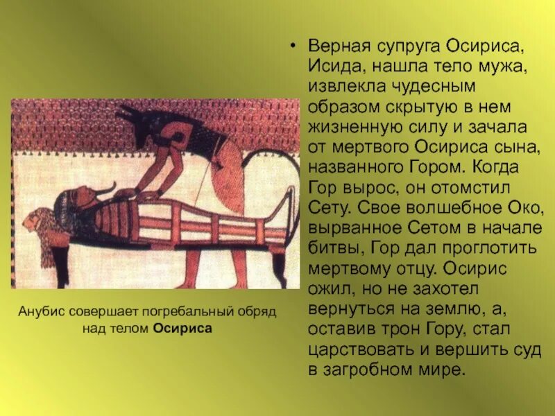 Жена осириса 5