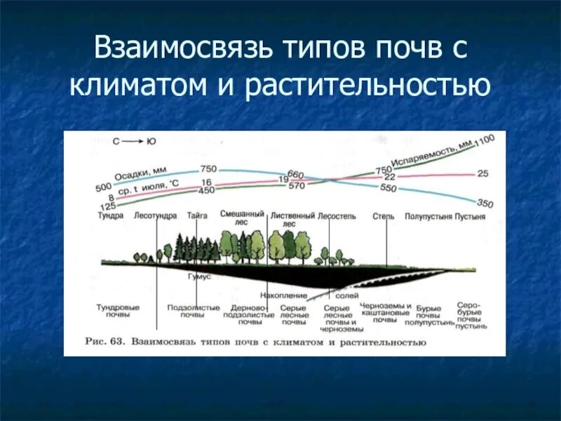 Порядок почв с севера на юг. Взаимосвязь типов почв с климатом и растительностью. Взаимосвязь типов почв с климатом. Взаимосвязь почв растительности и климата. Взаимосвязь типов почв.