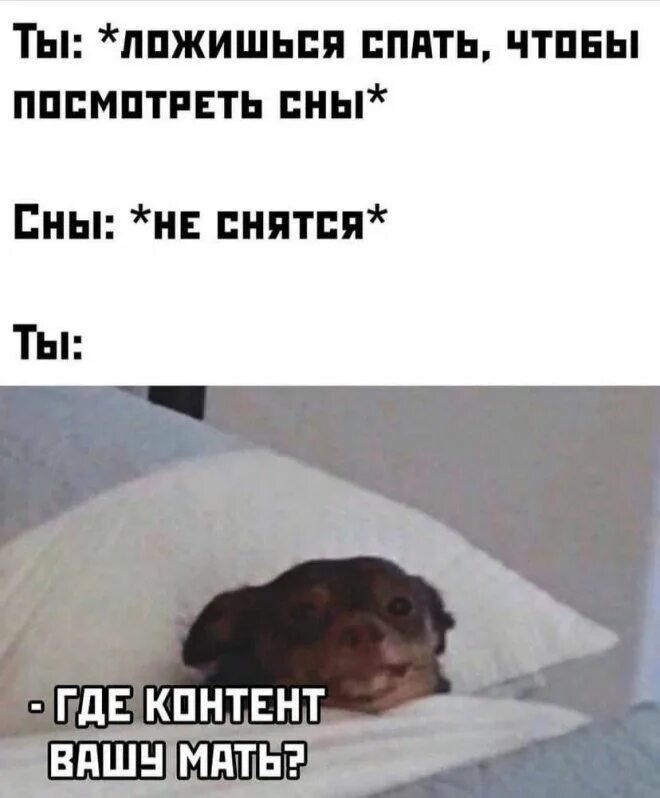 Последние мемы фото - FunFon.ru