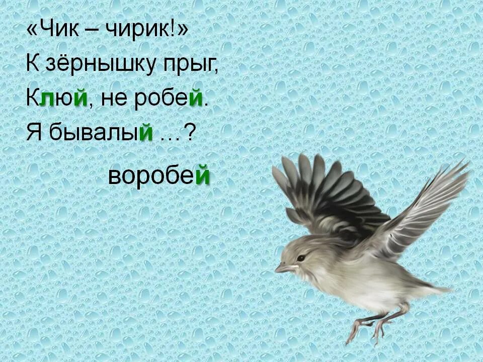 Загадка про воробья. Загадка про воробья для детей. Загадка про воробья 2 класс. Загадка про вора. Воробей воробьи 2 класс русский язык