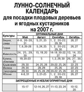 Лунный календарь на сентябрь для комнатных