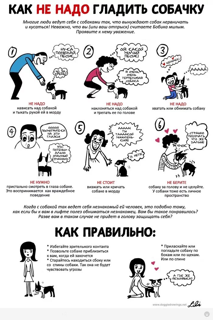 Как правильно гладить собаку. Как правильнее гладить собаку. Кот придумал. Материал который не надо гладить. Гениальный кот.