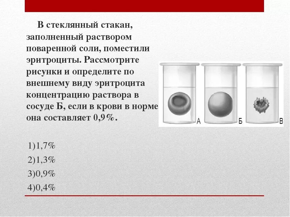 Эритроциты в растворе соли. Эритроциты в растворе поваренной соли. Концентрация соли в эритроцитах. Концентрация раствора солей в стакане. Эритроциты в растворе хлорида натрия