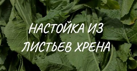 Хрен рецепт суставы