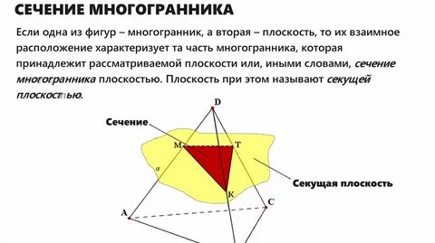 Правильные многогранники сечение