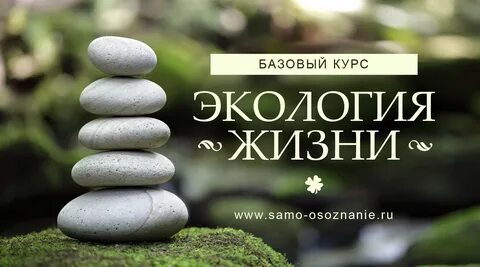 Окружающий среда курс