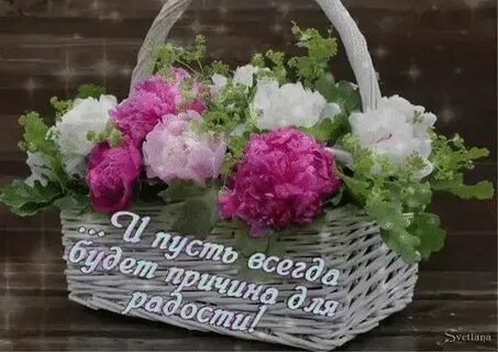 Твой день цветы
