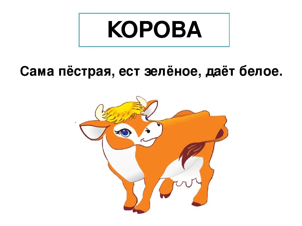 Корова 2 петух 8