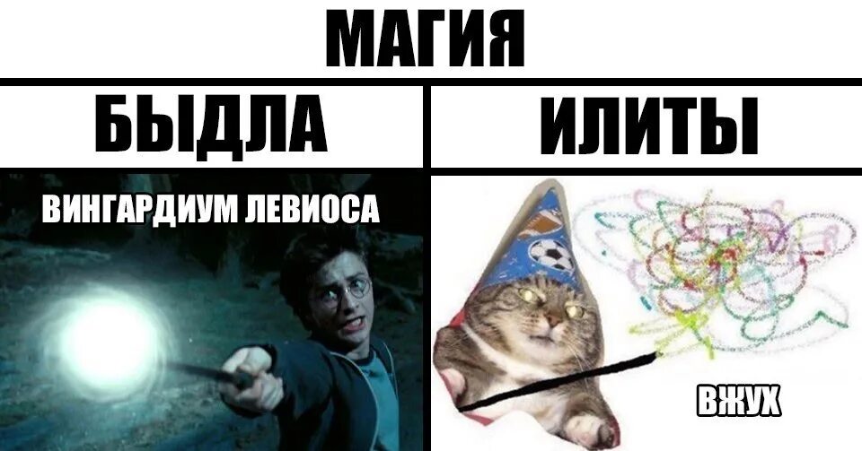 Колдую мем. Мемы про магию. магия мем. кот магия мем. магия вжух мем.
