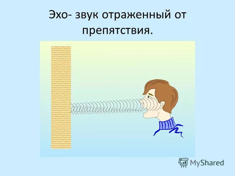 Эхо бывает