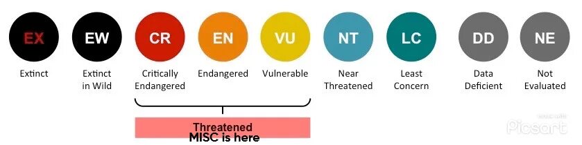 H264 vs h265. Datum lesser. Datum lesser. Keras для распознавания изображений. Datum lesser.