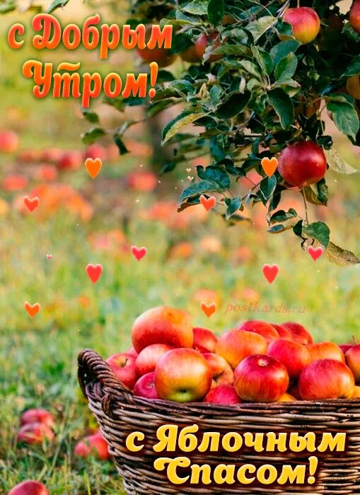Доброе утро картинки пожелания с яблочным спасом. Открытки с яблоками. доброе яблочное утро. доброе утро яблоки. доброе утро яблоня.