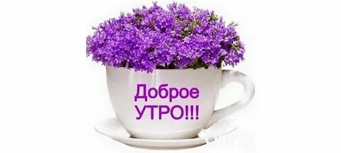 Стикеры доброе утро четверга