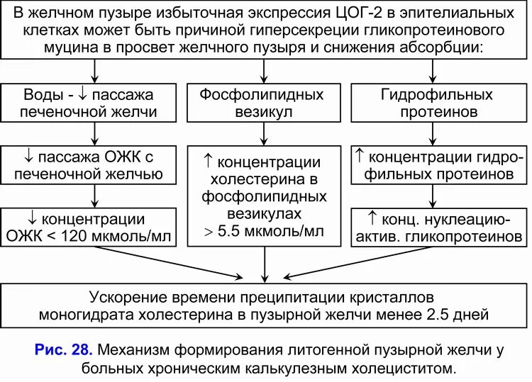 Схема лечения некалькулезного хронического холецистита. Хронический холецистит патогенез схема. Алгоритм диагностики острого калькулезного холецистита. Патогенез калькулезного холецистита.