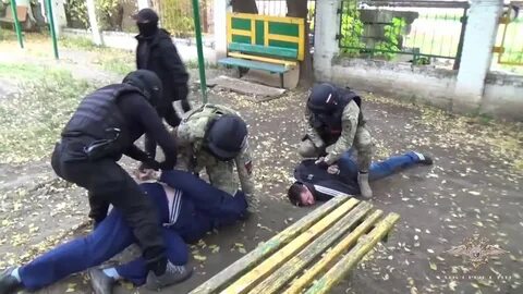Зерноград смотрящий