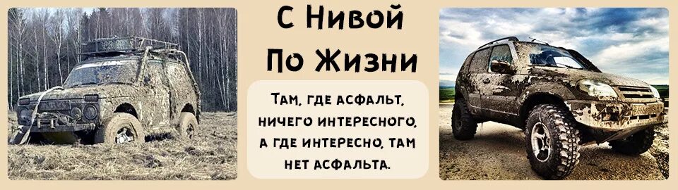 ". По ниве прохожу узкою межой. По ниве прохожу я узкою межой. Межа картинка. Поросшей лебедой и.