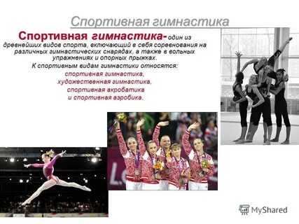 Виды спортивной гимнастики и их характеристика