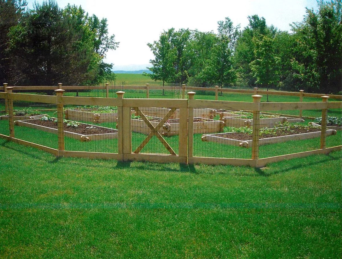 Что такое загон. Ограда для огорода. Ограждение огорода на участке. Изгородь для огорода. Забор для огорода.