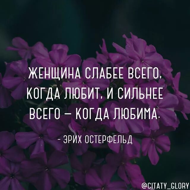 Цветы цитаты из книг