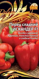Перец сорт пилот отзывы