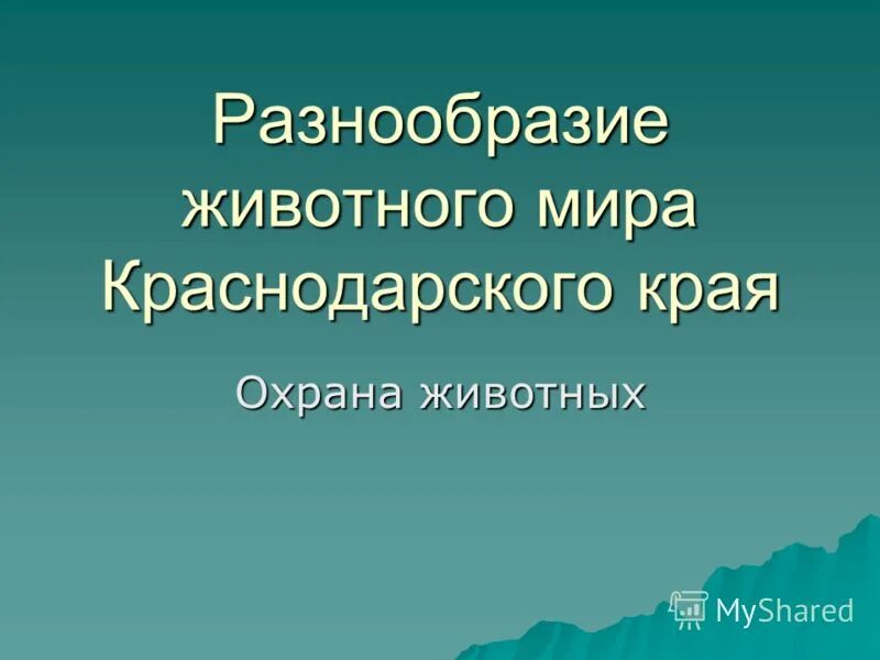 Животный и растительный мир Кубани - презентация