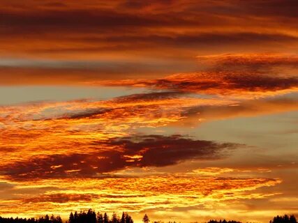 Gold sunset