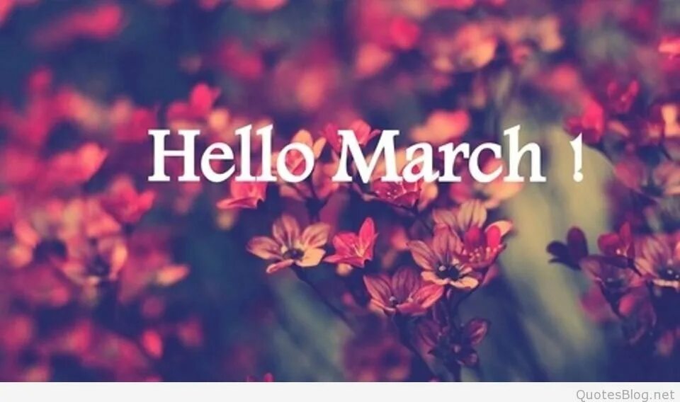 Привет март. Надпись hello March. Привет март надпись. Hello March фото.